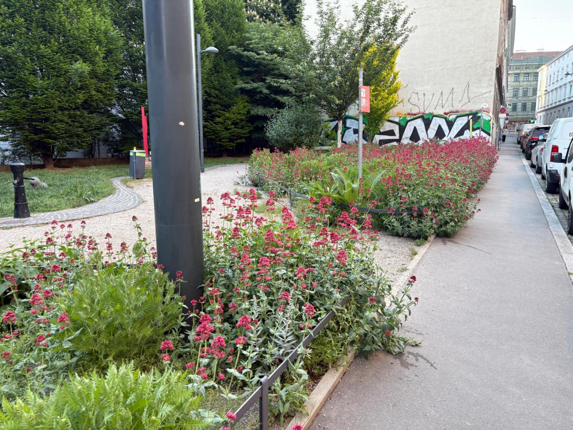 Apartment Geibel T5 - 60M2 - Hundefreundlich Wina Bagian luar foto